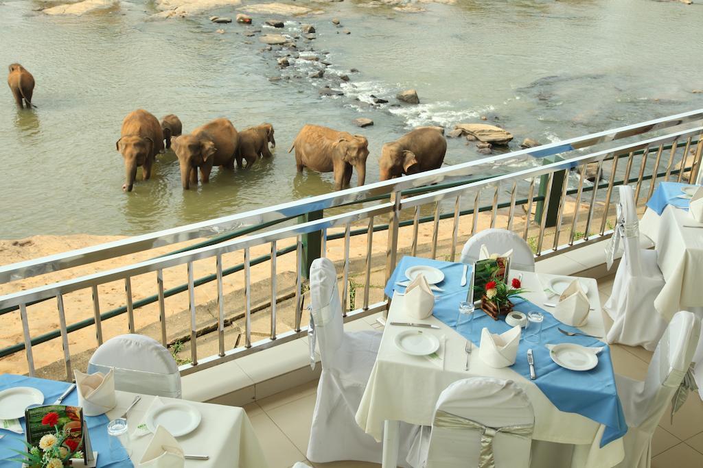 Hotel Pinnalanda - New Deal! Half Off Airport Pickups Available Pinnawala  Exterior photo